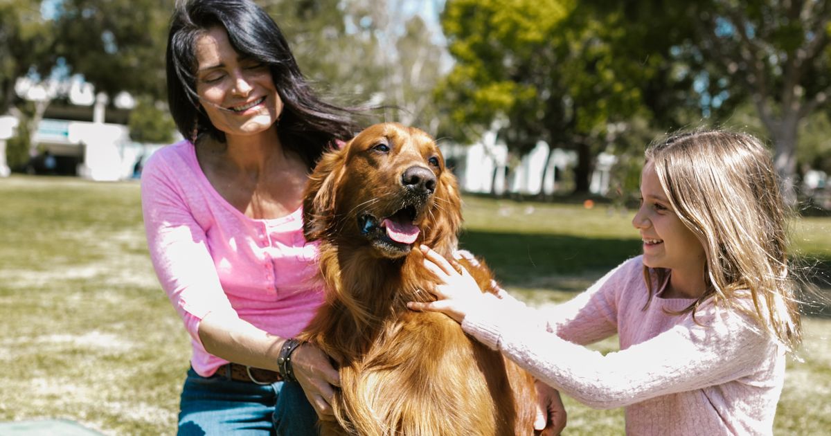 Moeder en dochter aaien samen een hond in het park