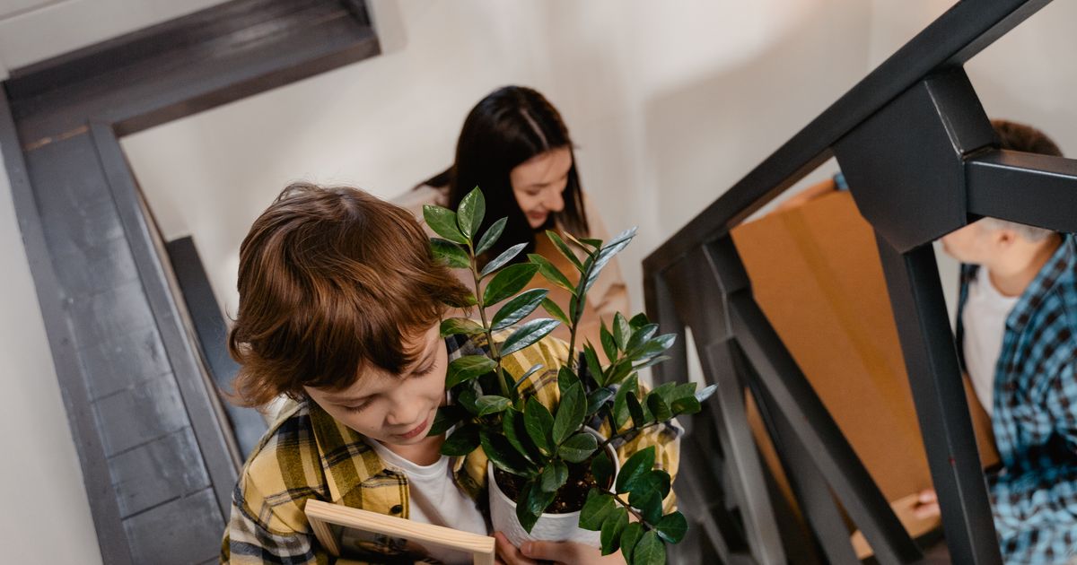Familie draagt samen verhuisdozen naar boven in een nieuwe woning